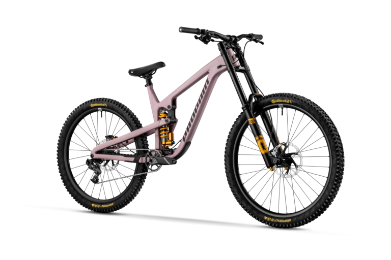 Bike rentals at Trestle Bike Park 2026