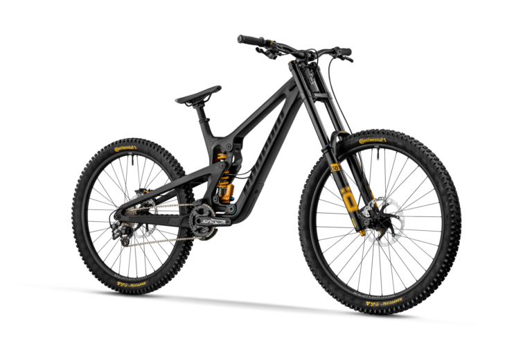 Bike rentals at Trestle Bike Park