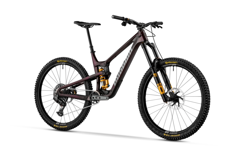 Bike rentals at Trestle Bike Park