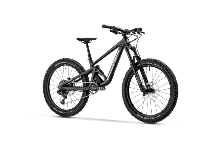 Bike rentals at Trestle Bike Park
